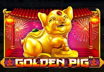 Golden Pig