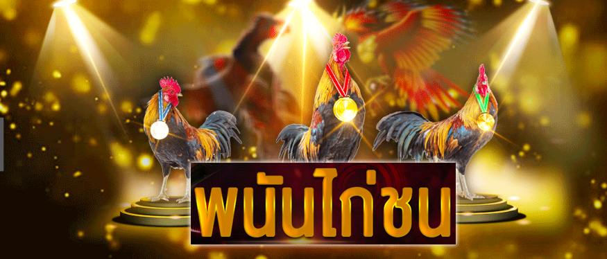 พนันไก่ชน pantip