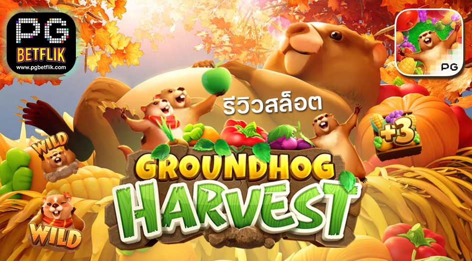 รีวิว Groundhog Harvest